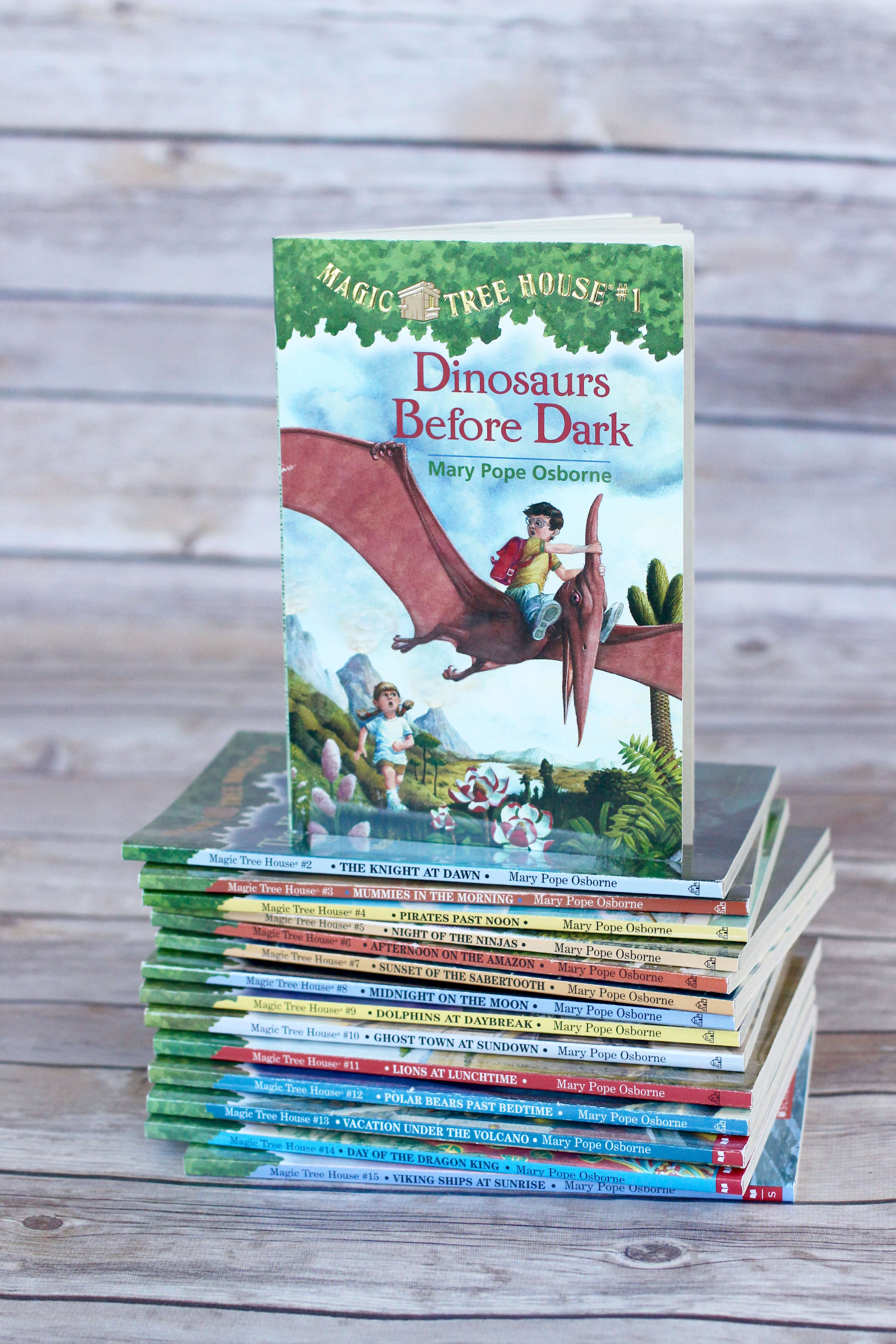 Magic Treehouse Series. First Chapter Book to Read Aloud to your preschooler or kindergartener