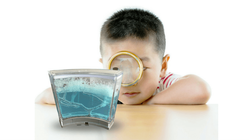 Best Non-Toy Gift Guide for Kids - ant farm