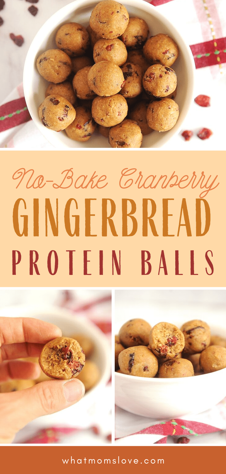 No-Bake Gingerbread Cranberry Protein Balls: Healthy Bites To Boost ...