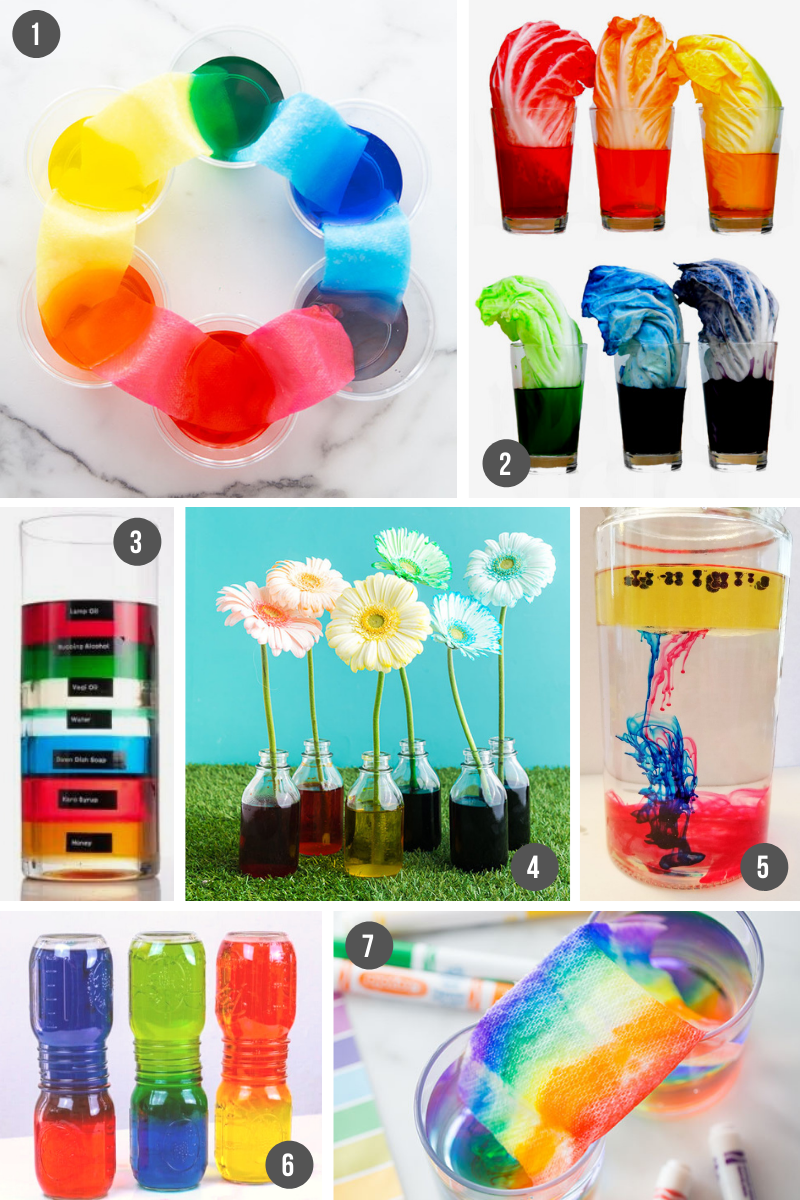 FREE Science Fair Projects Ideas for Kids [100+ Ideas!] – SupplyMe