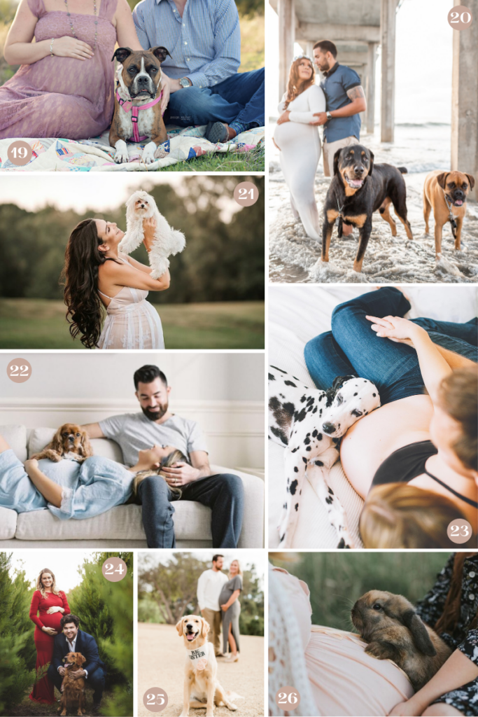 300+ Creative Maternity Photoshoot Ideas to Capture the Beauty (& Fun ...