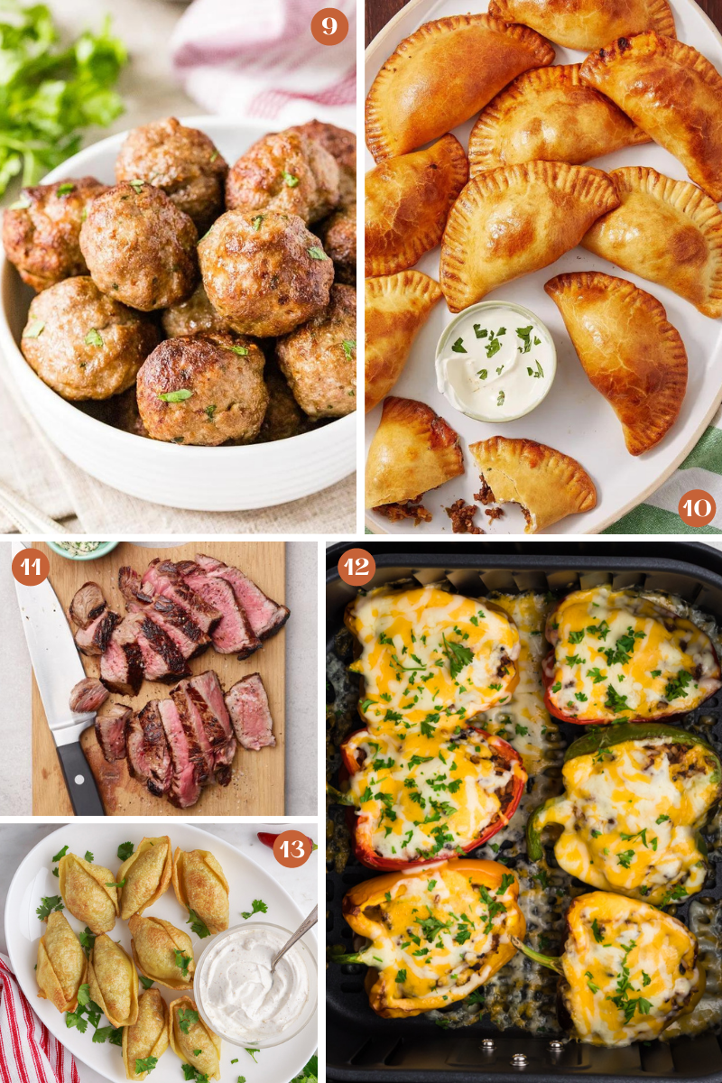 https://cdn.whatmomslove.com/wp-content/uploads/2022/04/Air-Fryer-Dinner-Recipes-for-Kids-and-Families-Meat-1.png